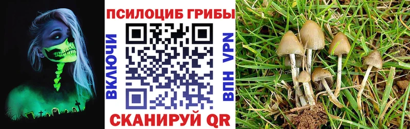 МЕГА ТОР  Яровое  Псилоцибиновые грибы GOLDEN TEACHER 