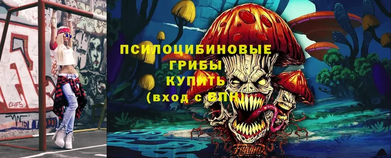 как найти наркотики  Яровое  Псилоцибиновые грибы Psilocybe 