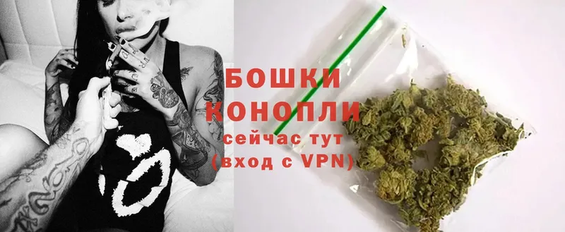 Шишки марихуана OG Kush  Яровое 